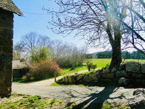 Maisons de vacances Le gite du Brusquet : photos des chambres