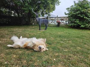 Le Grand Cèdre Spa et sauna intérieur piscine