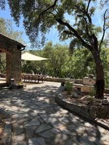 Villas Bastide de Charme en Pierre avec Piscine dans le Golfe de Saint Tropez : photos des chambres