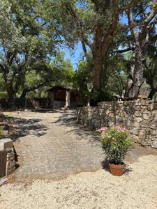 Villas Bastide de Charme en Pierre avec Piscine dans le Golfe de Saint Tropez : photos des chambres