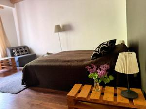 Viesu Nams Vilhelmīne