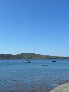 Racecourse Lodge Apartment