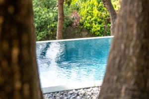 Maisons de vacances Magnifique villa avec piscine : photos des chambres