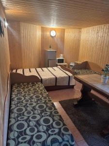 V36 Žemutinė studija