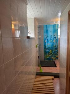 V36 Žemutinė studija