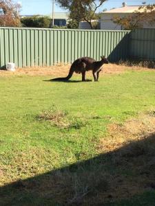 Baudin Beach Holiday Units - Unit 1