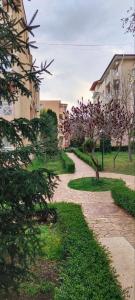 Studio in Sunny day 6 complex