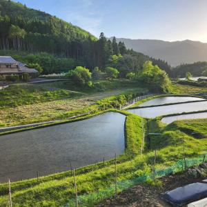 교토 Picturesque Kyoto 숙소 로비