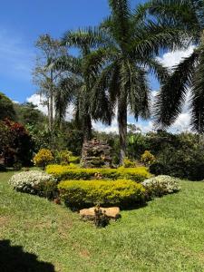 Finca Las Palmas San Gil