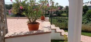 Horizont Vendégház