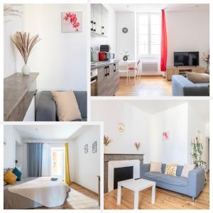 Appartements Le Joyau de Pau : Appartement 1 Chambre
