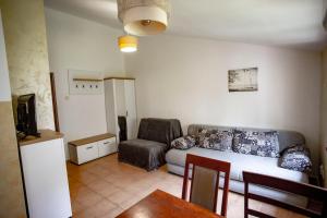 студия солнце