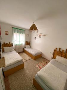 Sunny Soul Taghazout