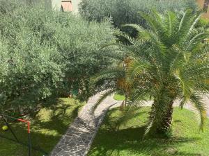 DueOlivi - Appartamento Blue