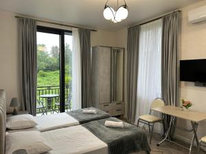 Shine Hill შაინ ჰილი