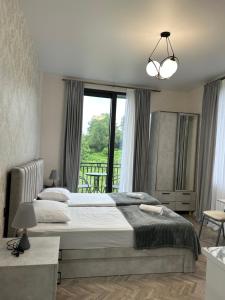 Shine Hill შაინ ჰილი