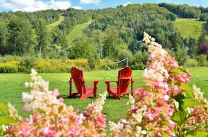 Chic condo at the foot of the slopes of Saint-Sauveur