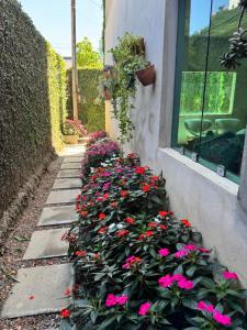 Flat Garoa Recanto Florah