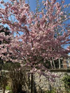 Nouveau au coeur de lIsle Adam - Le Clos de lIsle