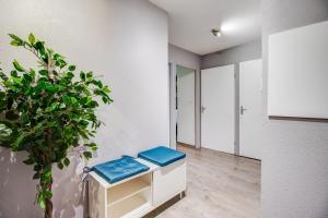 Appartements Le Reve Bleu - Joli T3 lumineux avec balcon & parking gratuit - Centre Toulouse : photos des chambres