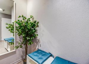 Appartements Le Reve Bleu - Joli T3 lumineux avec balcon & parking gratuit - Centre Toulouse : photos des chambres