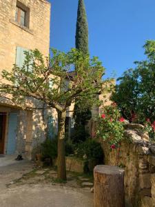 Maisons de vacances Le Petit Paradis : photos des chambres