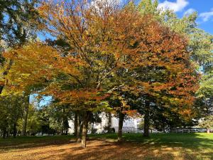 Nouveau au coeur de lIsle Adam - Le Clos de lIsle