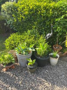 Hanley Swan, The Garden Flat