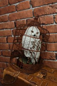 Harry Potter - Séjour magique à Poudlard