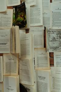 Appartements Harry Potter - Sejour magique a Poudlard : photos des chambres