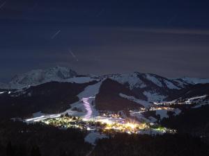 Chaleureux appartement au pied des pistes avec parking et animaux admis - FR-1-505-65