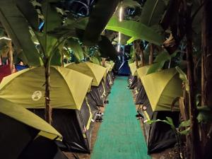 Baadal Pani Beach Resort Near Kelwa Beach