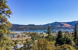 Hood River White Cap