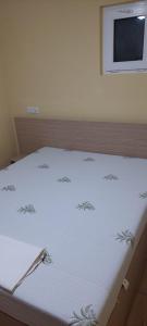 Gabriel in Sofia Rezidence