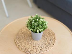 Cozy Nearby Flat Las Canteras