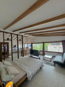 Suite paraiso