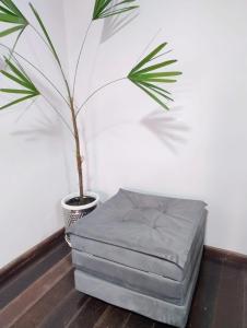 Casa, Loft em rua de comércio em Ctba