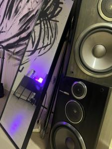 luxury 2 Master Bedroom