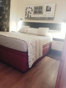 Red Apartamento