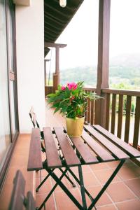 Apartamentos Aldea del Puente