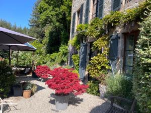 B&B / Chambres d'hotes Le Moulin des Farges : photos des chambres