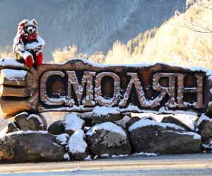 Апартамент ДАРА