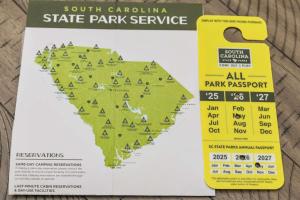 High Tides Good Vibes