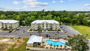 High Tides Good Vibes