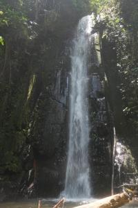 Ecotone Manu Bio Lodge All-Inclusive