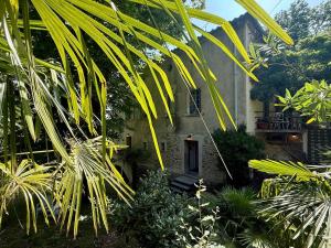 Appartements L Olivier Studio charme et nature : photos des chambres