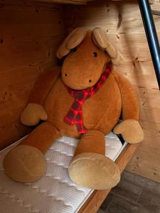 Maisons d'hotes Gites Hassenforder : photos des chambres