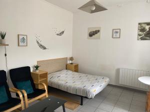 Appartements A&J Studio - Bonny sur Loire -Chateaux de Guedelon- Pont Canal : photos des chambres