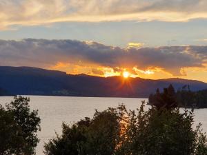 Ferienwohnung Waldfee