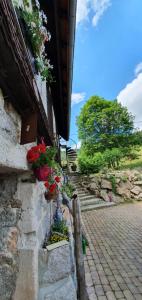 Ferienwohnung Waldfee